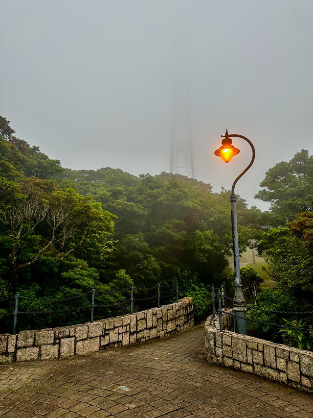 A Rainy Day at Victoria Peak Garden