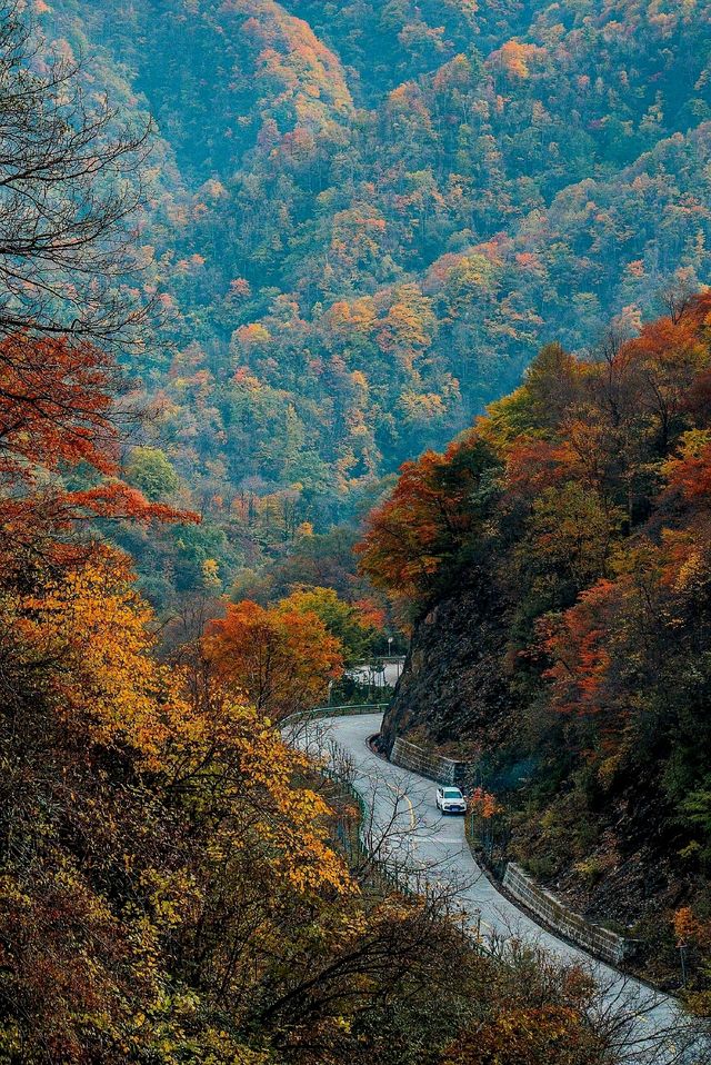 秋天旅遊推薦之秦嶺。