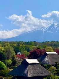 8日玩遍日本冬季行程 錯過等一年