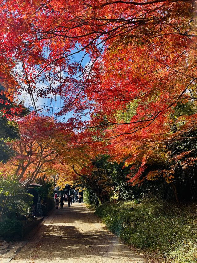 日本·京都