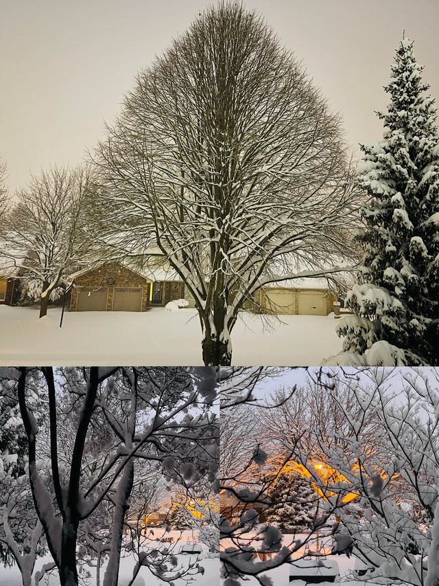 雪舞風情，魅力無限——加拿大倫敦