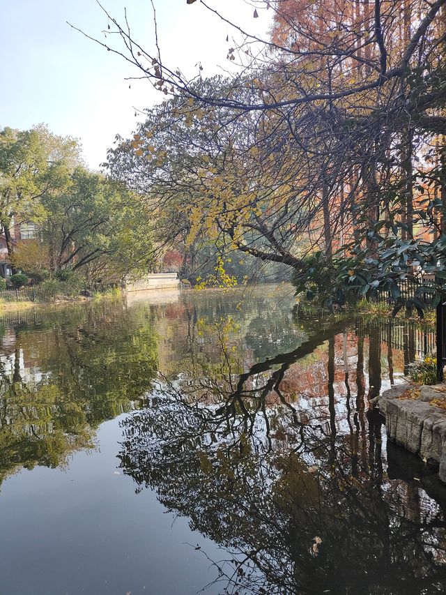 【城市漫遊】探索天山公園的無盡魅力