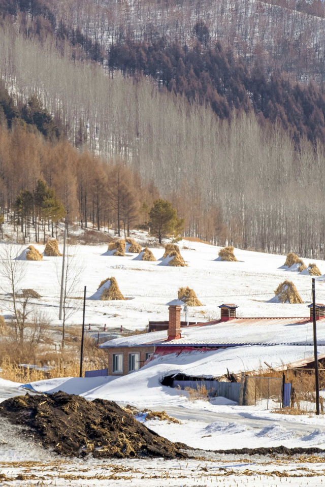 就為這一刻的雪景，我才跨越3000公里來東北