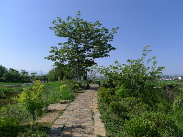 建水·鄉會橋——田園中的古橋