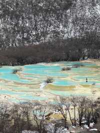 成都-九寨溝探秘之旅熊貓基地不可錯過的打卡點