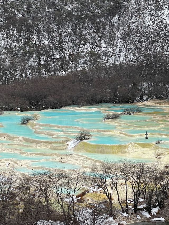 成都-九寨溝探秘之旅熊貓基地不可錯過的打卡點