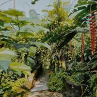 KL Butterfly Park, Kuala Lumpur