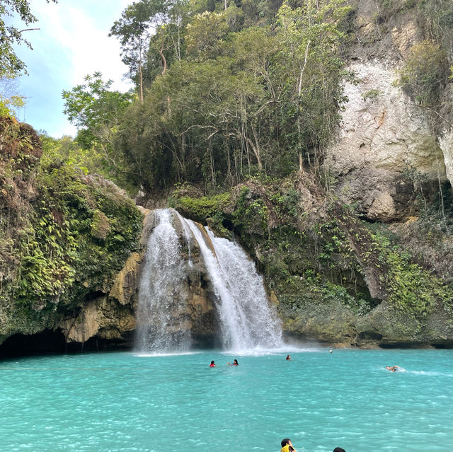 Kawasan Falls! 