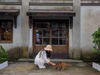 Houtong Cat Village หมู่บ้านแมวน่ารักๆในไต้หวัน