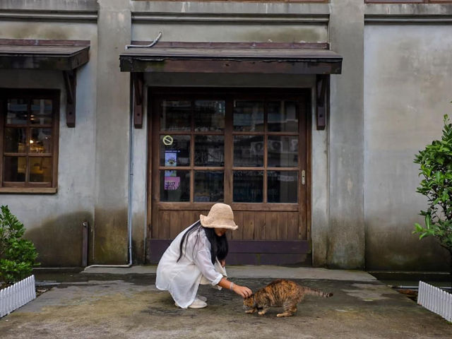 Houtong Cat Village หมู่บ้านแมวน่ารักๆในไต้หวัน