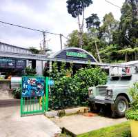 The BEST Fish And Chips in Cameron Highlands!