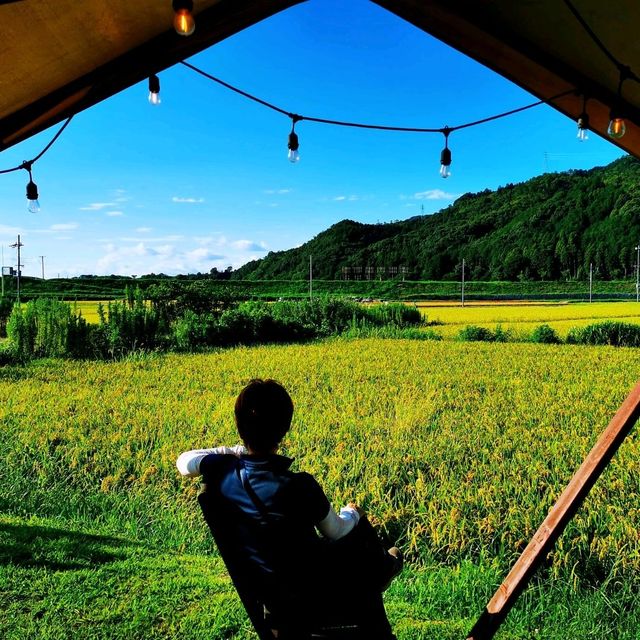 保津川漂流•渡月橋•竹林小徑•嵯峨野觀光小火車