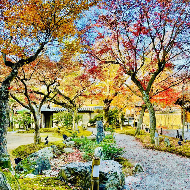 A Journey Through Kodaiji Temple's Fall Splendor