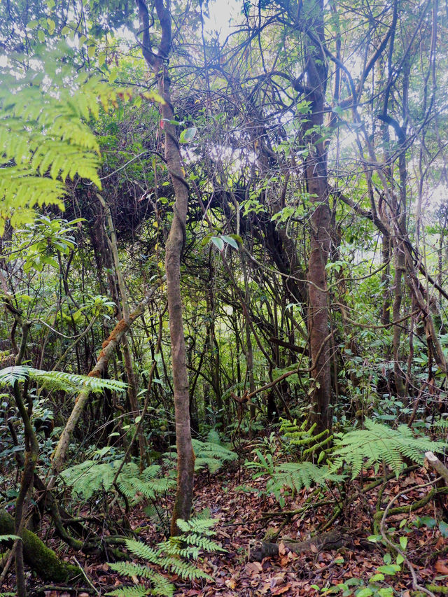 Take A Look At Mt. Patuha ⛰️✨