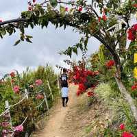 Majestic Views Await: Hiking Sosodikon Hill in Kundasang!