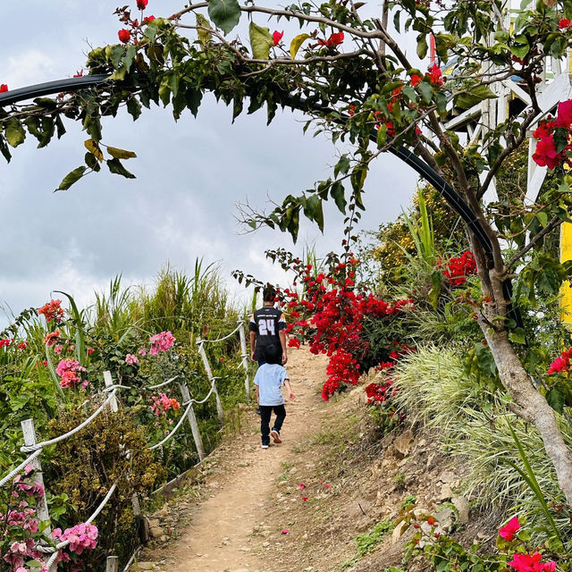 Majestic Views Await: Hiking Sosodikon Hill in Kundasang!