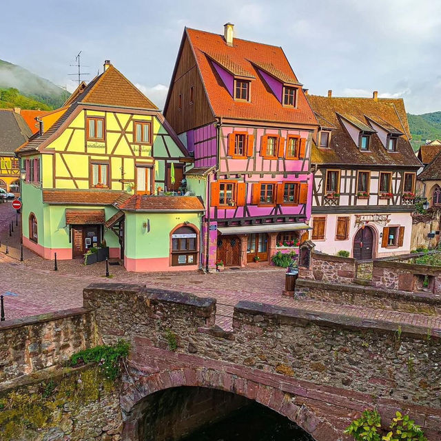 ✨ Discover Alsace, France ✨