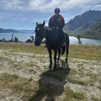 Walter Peak’s breathtaking horse riding experience