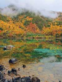 Jiuzhaigou in autumn 🍁