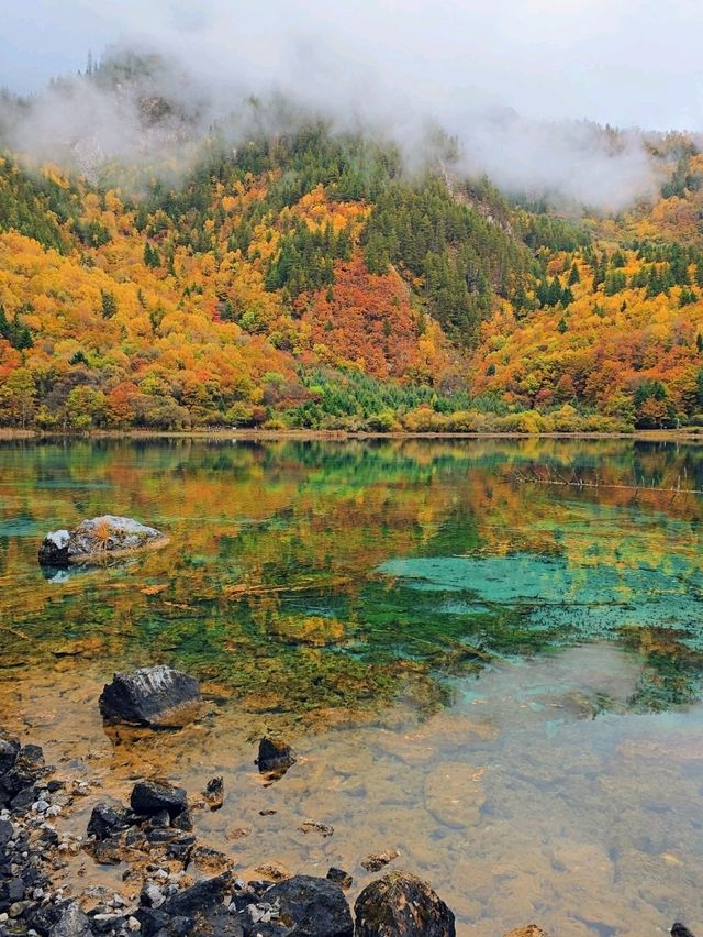 Jiuzhaigou in autumn 🍁