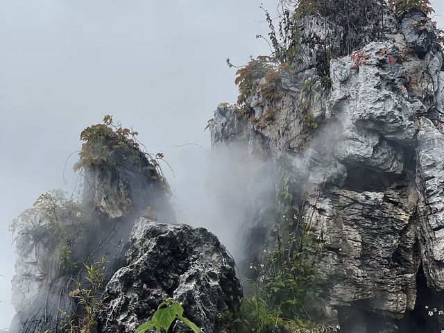  珠海翠湖香山：城市裡的綠意秘境