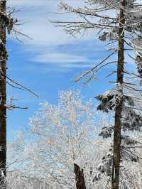 不是雪鄉住不起，而是雪谷更有性價比