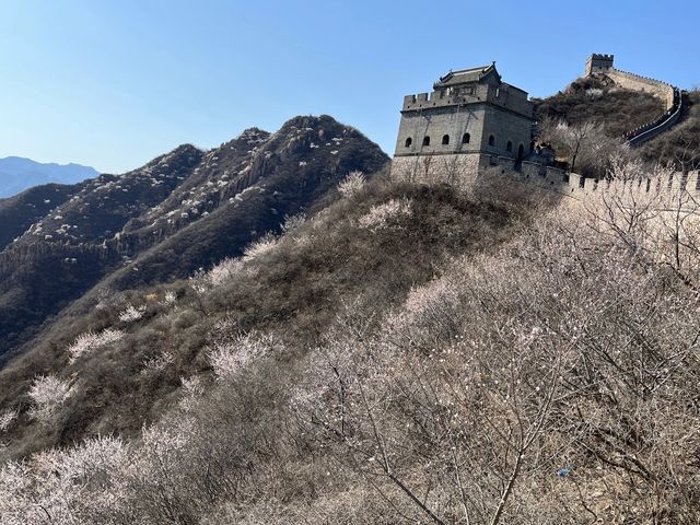 北京昌平居庸關花海｜開往春天的列車