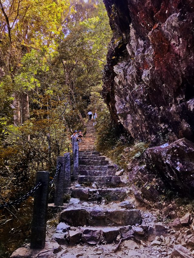 你永遠可以相信七娘山，真是泰美美美美辣