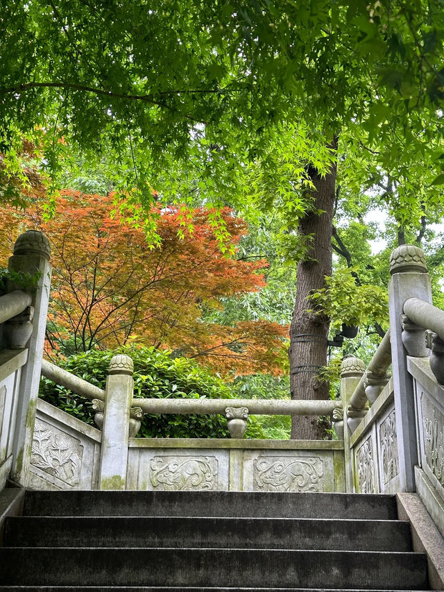 超治愈 南京的侏羅紀公園