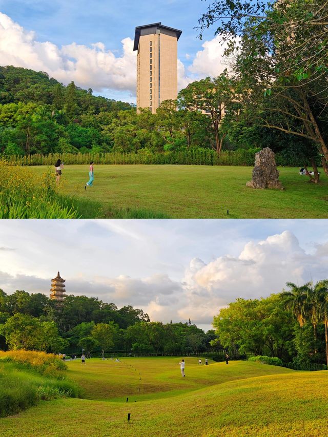 在深圳人少景美的寶藏碧道