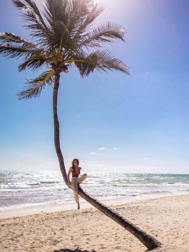 🌴 Tulum's Top Stays: Culture & Comfort Collide! 🛏️🎨