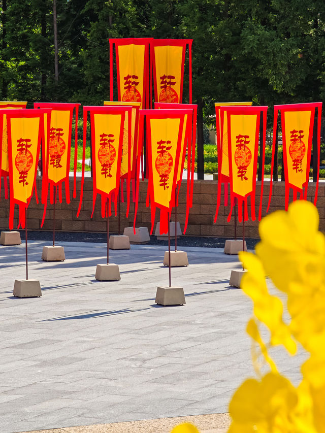 This Summer, Traverse Time and Space｜Seeking Roots and Paying Homage to Ancestors in Zhengzhou, the Hometown of the Yellow Emperor