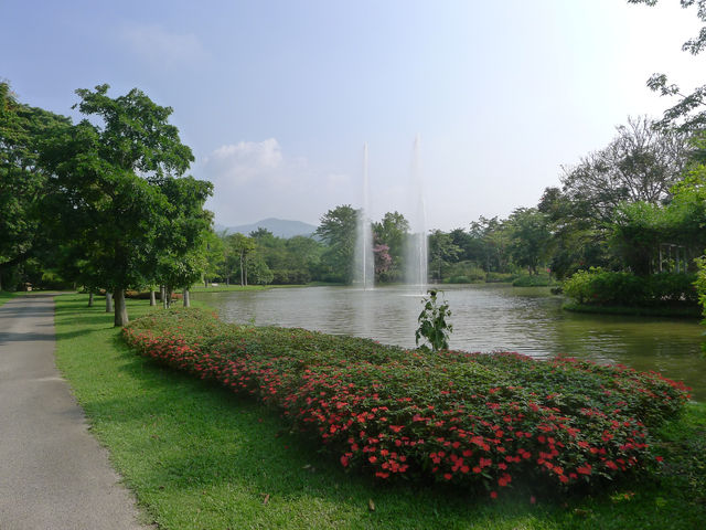 熱帶植物園·百花園——花的海洋。