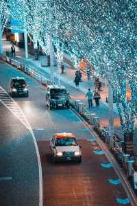 Experience the Magic of Tokyo's Christmas Lights Next Month