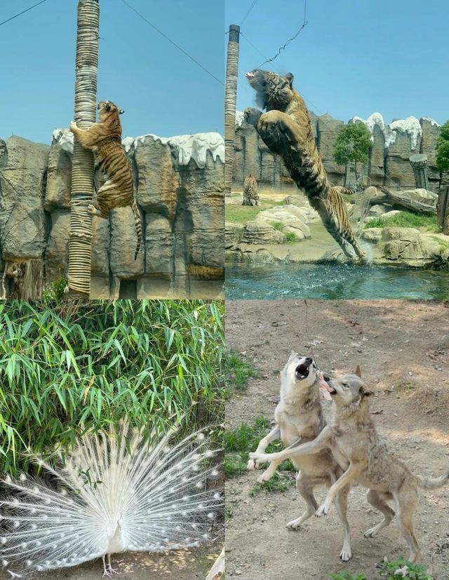 福清永鸿野生動物園~。