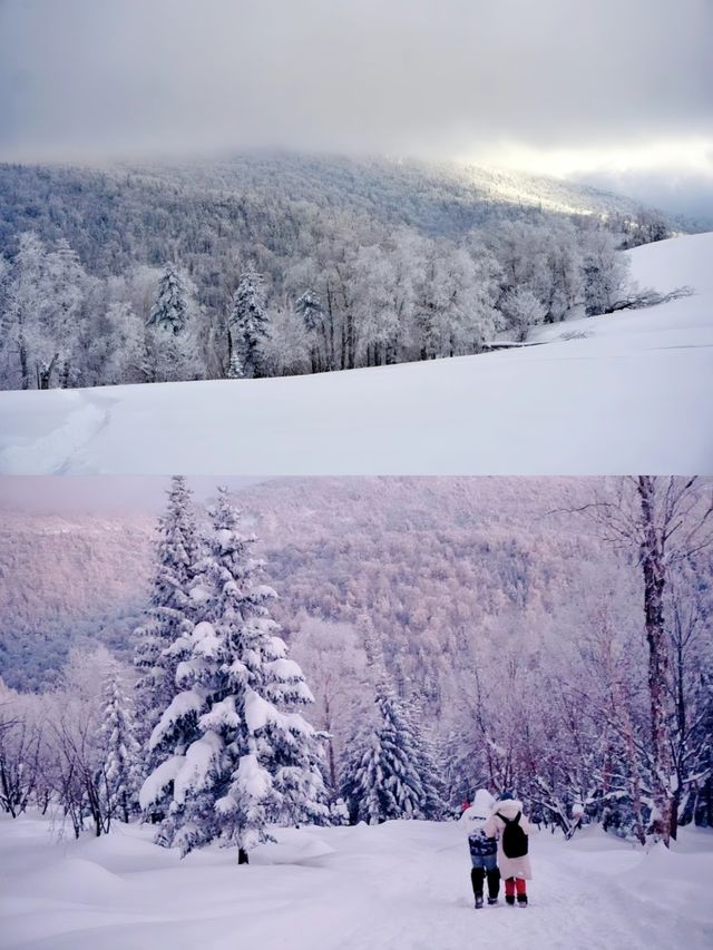 如何省錢又能暢玩雪鄉、雪谷，看這裡