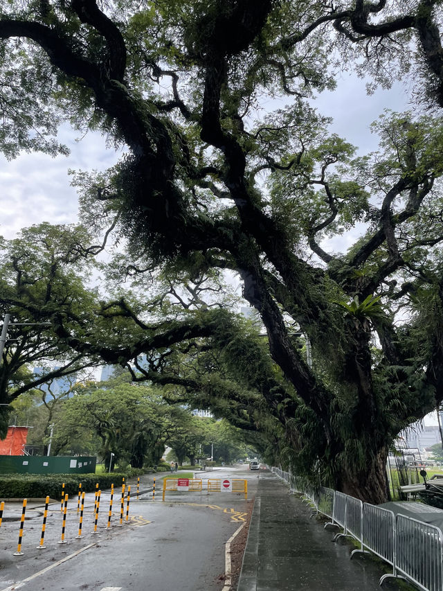 冬季反向目的地，去新加坡過有熱帶雨林的冬