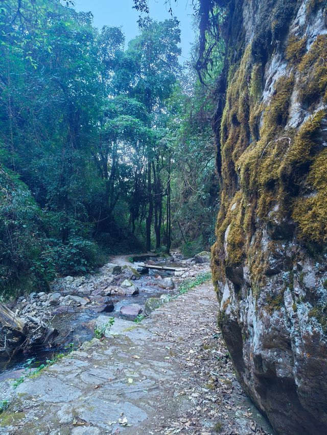 高黎貢山五道溪行山