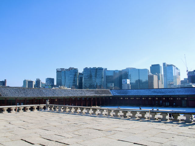 The iconic Gyeongbokgung Palace 🇰🇷