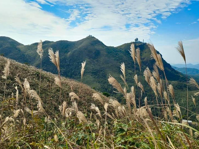 這個天氣爭取時間行山去