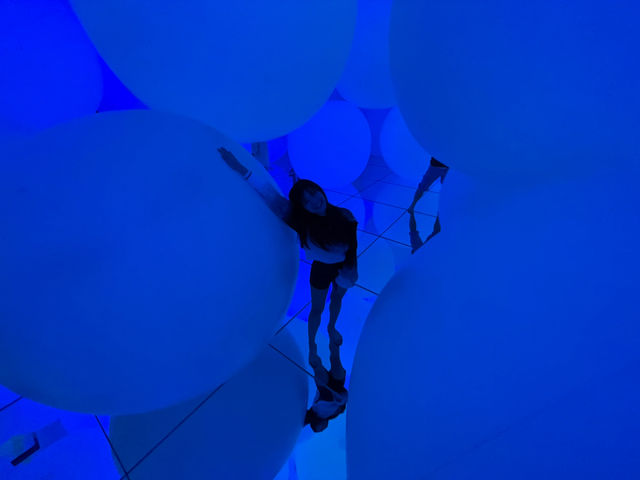 Immersed in the Infinite: My Journey Through TeamLab Tokyo