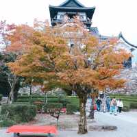 Inuyama Castle