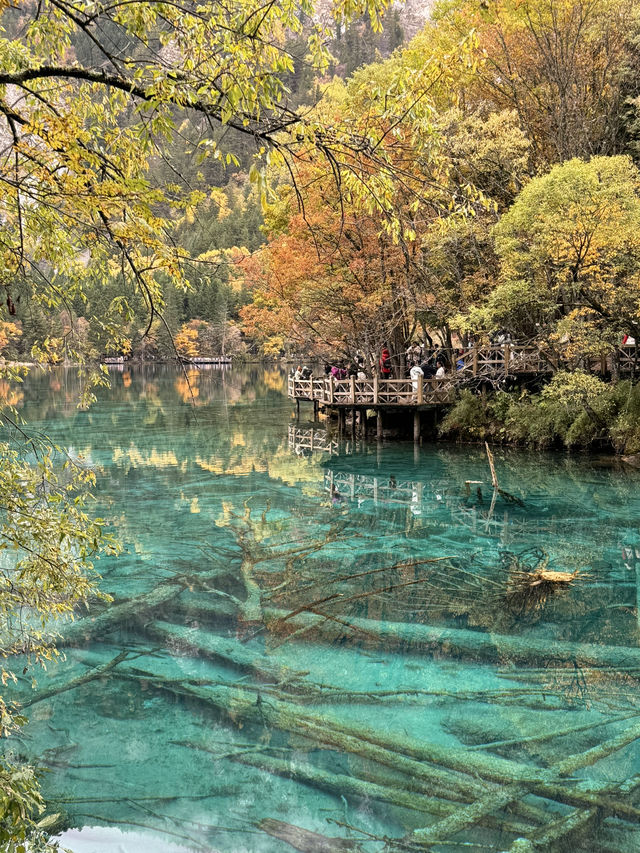 川西旅遊·人間仙境九寨溝