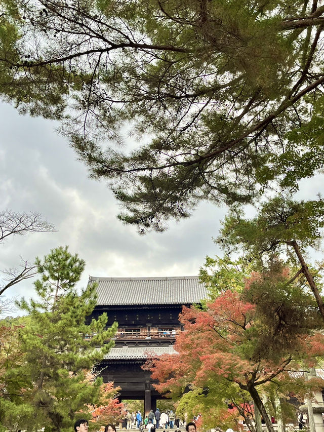 【京都　南禅寺】和と洋の雰囲気を一気に味わえる！