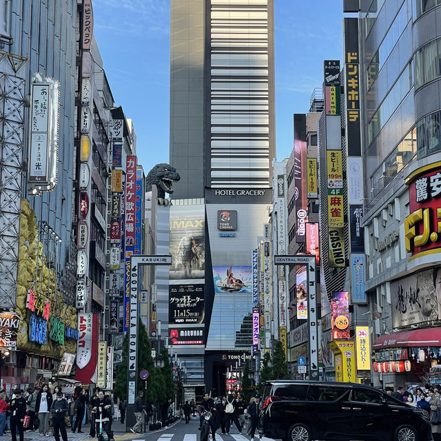 Two Unforgettable Days in Tokyo: A Whirlwind Tour