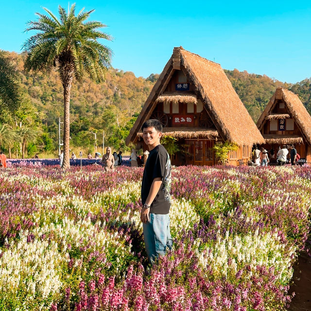 Hokkaido Flower Park Khao Yai 