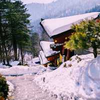 The Buddhist Temple