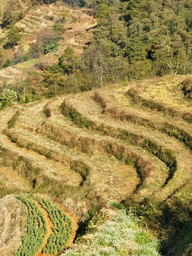 攀枝花·米易傈僳梯田｜夢醉詩仙雲端境