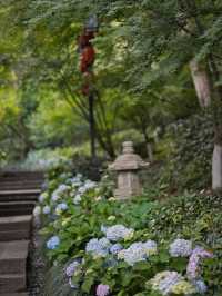 媲美京都清水寺｜杭州初夏的第一抹驚艷來自永福寺的繁花