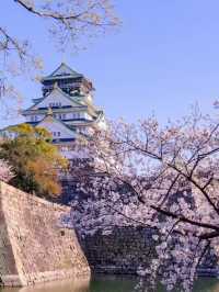 Osaka Castle park full of flowers 💐🇯🇵